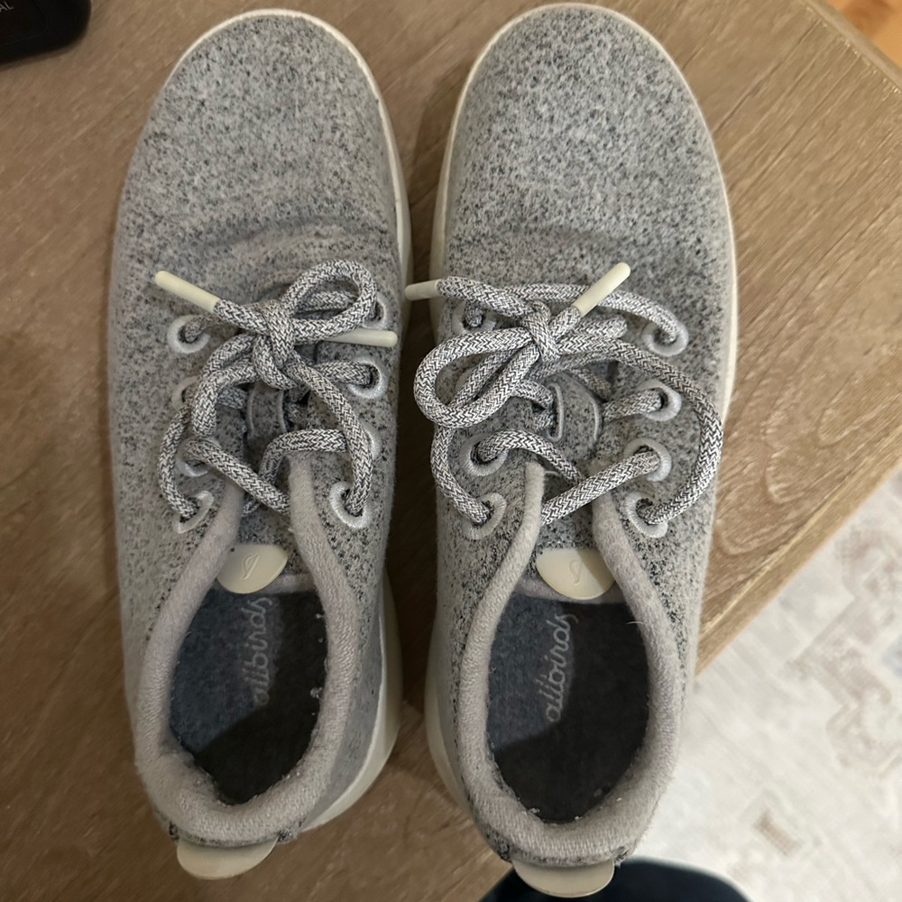 Waterproof Allbirds